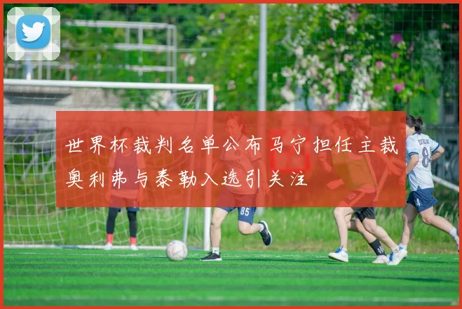 世界杯裁判名单公布马宁担任主裁奥利弗与泰勒入选引关注