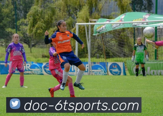 6T体育APP 封面图